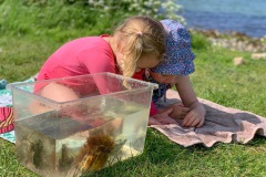 natuuronderzoekertjes