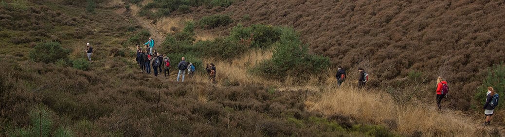 hikers