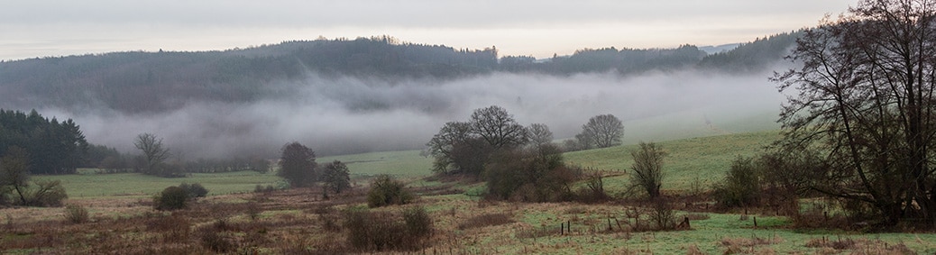 Wigny in de mist