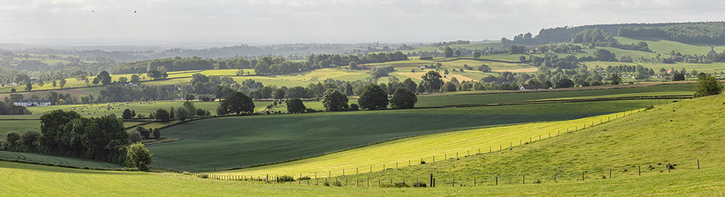 Limburg Epe