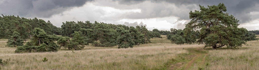 Nationaal Park Veluwezoom