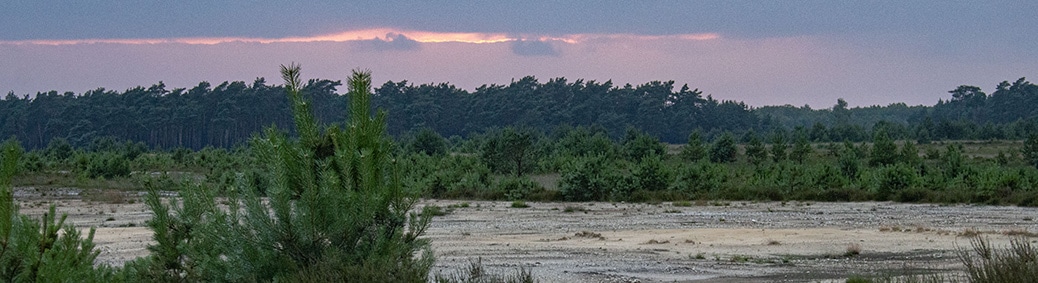 Heide bij Uddel