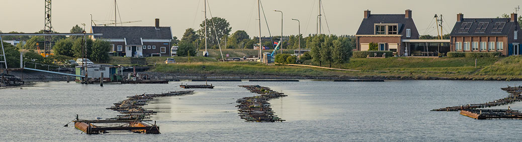Zijpe
