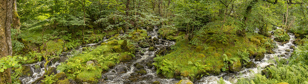 Tan-Y-Garth Cottage Snowdonia